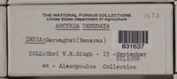 Arcyria denudata image